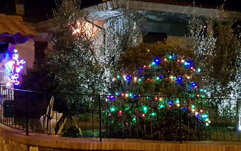 La Casina Del Canneto: Encendiendo, Ligero, Noche, La Iluminación Del Paisaje, Árbol, Arquitectura, Diseño De Interiores