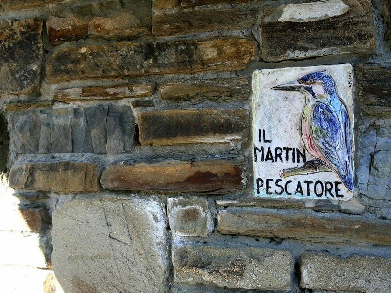 Il Martin Pescatore