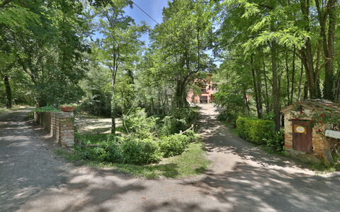 Podere Il Doccio: Árbol, Reserva Natural, Vegetación, Propiedad, Entorno Natural, Biome, Bosque, Sendero, Bosque, El Terreno Del Lote