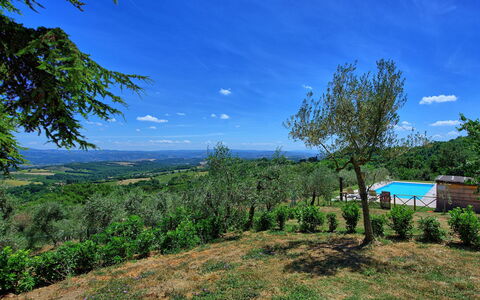 Casa Olivia: Naturaleza, Vegetación, Cielo, Paisaje Natural, Azul, Propiedad, Árbol, Verde, Entorno Natural, Desierto