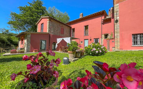 Mulino a Montegonzi Di Rimaggio: Flor, Cielo, Planta, Ventana, Edificio, Verde, Maceta, Árbol, Hierba, Casa