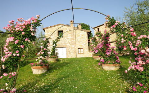 Villa Ardene: Arco, Arquitectura, Flor, Planta, Jardín, Primavera, Yarda, Casa, Hierba, Césped