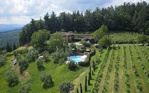 Villa Flora: Hill Station, Tierras Altas, Biome, Desierto, Plantación, Árbol, Paisaje, Área Rural, El Terreno Del Lote, Fotografía