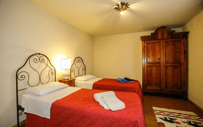 Alojamiento:&nbsp;Paulonia