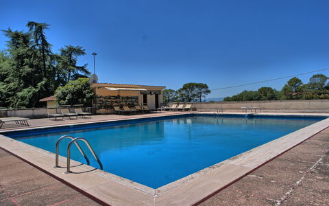 Il Poggio Di Patrignone: Piscina, Propiedad, Bienes Raíces, Casa, Agua, Ocio, Inmuebles, Casa, Barrio Residencial, Edificio