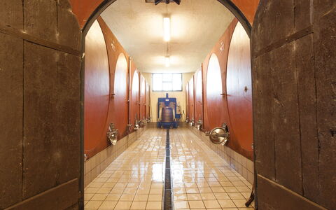 Fattoria Di Quercia Al Poggio: Edificio, Arco, Arquitectura, Habitación, Suelo, Salón, Diseño De Interiores, Techo, Simetría, Piso