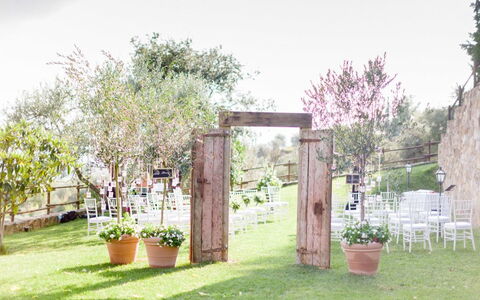 Fattoria Di Quercia Al Poggio: Propiedad, Yarda, Hierba, Patio Interior, Árbol, Jardín, El Terreno Del Lote, Casa, Edificio, Césped