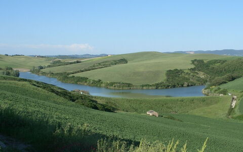 Agriturismo Il Gattero: Pradera, Paisaje Natural, Entorno Natural, Llanura, Los Recursos Hídricos, Colina, Área Rural, Pasto, Agua, El Terreno Del Lote