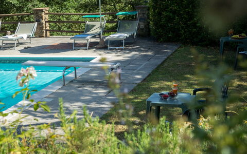 Podere Schignano: Planta, Mueble, Planta De La Comunidad, Vertebrado, Silla, Agua, Botánica, Mueble Para Exteriores, Vegetación, Hierba