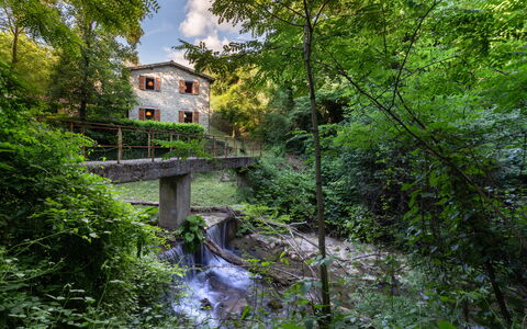 La Ripresa: Naturaleza, Agua, Vegetación, Verde, Corriente De Agua, Árbol, Reserva Natural, Entorno Natural, Biome, Río