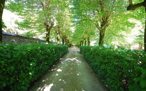 Villa Paola: Verde, Naturaleza, Árbol, Paisaje Natural, Vegetación, Hoja, Reserva Natural, Entorno Natural, Hierba, Planta