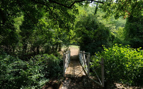 Villa Paola: Hoja, Rama, Verde, Entorno Natural, Árbol, Naturaleza, Madera, Vegetación, Paisaje Natural, Bosque