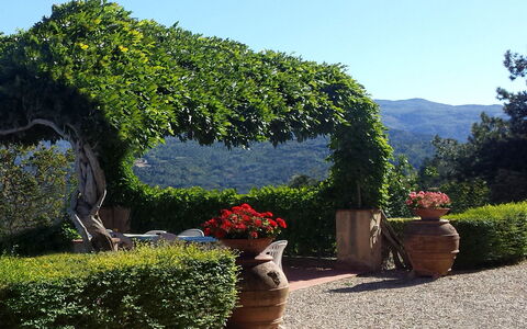 Villa Del Conte: Jardín, Vegetación, Árbol, Arbusto, Jardín Botánico, Paisaje Natural, Cobertura, Botánica, Planta, Cielo