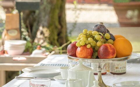 Il Vignale: Vajilla, Utensilios Para Servir, Vajilla, Mesa, Mueble, Drinkware, Manteles, Plato, Comida, Porcelana