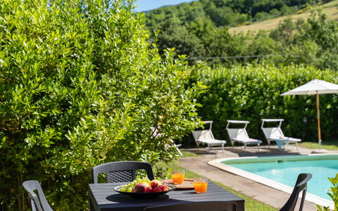 Villa Il Nido: Agua, Planta, Mueble, Planta De La Comunidad, Verde, Mueble Para Exteriores, Mesa, Piscina, Flor, Árbol