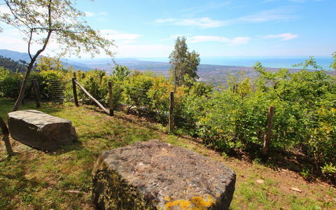 Villa Miramare: Naturaleza, Desierto, Entorno Natural, Árbol, Paisaje Natural, Reserva Natural, Klippe, Montaña, Cielo, Bosque