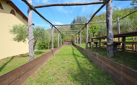 Villa Miramare: Árbol, Puente, Hierba, Área Rural, Bienes Raíces, Pasarela, Arquitectura, Estructura Lugares Distintos A Edificios, El Terreno Del Lote, Planta