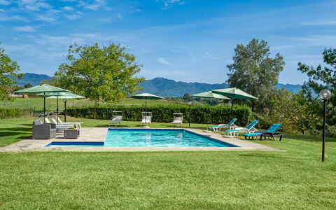 Villa La Collina: Planta, Cielo, Nube, Paraguas, Agua, Piscina, Árbol, Silla, Sombra, Mueble Para Exteriores