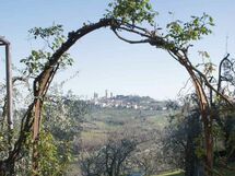 the view from the garden