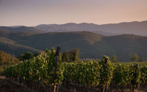 Villa Mandorlo: Planta, Cielo, Montaña, Paisaje Natural, Tierras Altas, El Terreno Del Lote, Agricultura, Amanecer, Accidentes Geográficos Montañosas, Paisaje