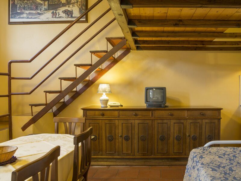 Alojamiento:&nbsp;Belvedere 1