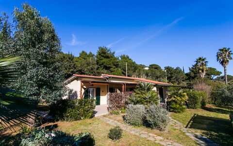 Capoliveri 290