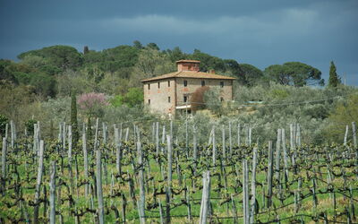 Alojamiento:&nbsp;Villa Margherita