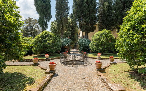 Villa de Ranieri: Planta, Superficie De La Carretera, Árbol, Paisaje Natural, Hierba, Plantas Leñosas, Hojas Perennes, Ocio, Cobertura Del Suelo, La Carretera