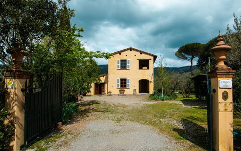 Collina dei Fiori: Cielo, Nube, Planta, Ventana, Edificio, El Terreno Del Lote, Árbol, Hierba, Paisaje, Área Rural