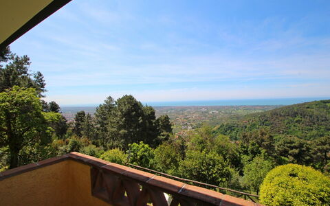 Villa La Collinetta: Nube, Cielo, Propiedad, Naturaleza, Hoja, Madera, Arquitectura, Árbol, Vegetación, Mañana