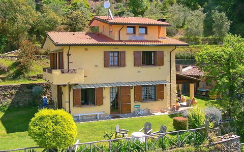 Villa La Collinetta: Planta, Ventana, Propiedad, Edificio, Verde, Árbol, Casa, Amarillo, Vegetación, Cabaña