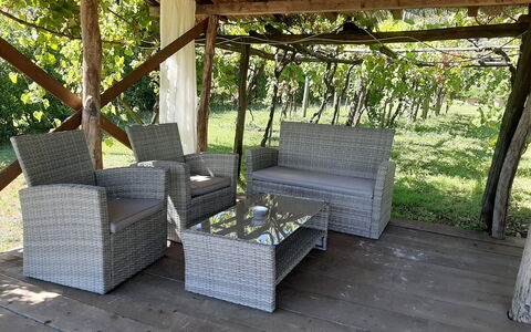 Bettina!: Planta, Sombra, Madera, Sofá, Mueble Para Exteriores, Árbol, Diseño De Interiores, Hierba, Cabaña, Rectángulo