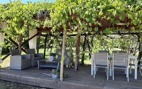 Bettina!: Planta, Sombra, Botánica, Cielo, Arbusto, Hierba, Árbol, Banco Al Aire Libre, Cobertura Del Suelo, Planta Floreciendo