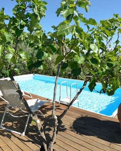 Bettina!: Propiedad, Árbol, Planta, Bienes Raíces, Ocio, Vacaciones, Casa, Piscina, Flor, Inmuebles