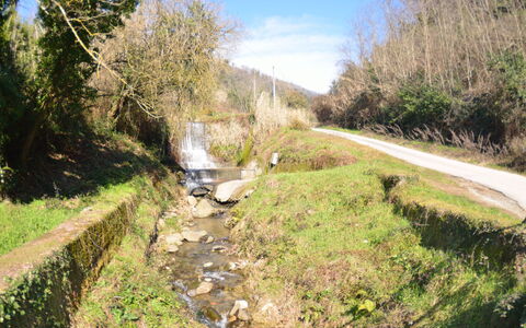 Casa Milena: Camino Acuático, Paisaje Natural, La Carretera, Los Recursos Hídricos, Fenómeno Geológico, Canal, Árbol, Corriente De Agua, Vía Pública