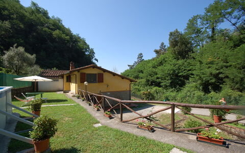 Casa Milena: Propiedad, Bienes Raíces, Casa, Botánica, Edificio, Yarda, Jardín, Paisaje, Casa, Árbol