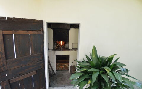 Casa Romana: Propiedad, Habitación, Casa, Edificio, Bienes Raíces, Casa, Puerta, Planta, Suelo