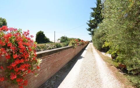 Casa Romana: Rojo, Árbol, Flor, La Carretera, Primavera, Planta, Carril, Botánica, Pasarela, Arbusto