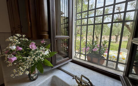 Casa Romana: Vaso, Maceta, Hierro, Planta De Casa, La Luz Del Día, Balcón