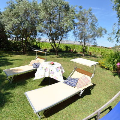 Casa Romana: Propiedad, Árbol, Hierba, Planta De La Comunidad, Mesa, Ocio, Bienes Raíces, Casa, Recreación, Vacaciones