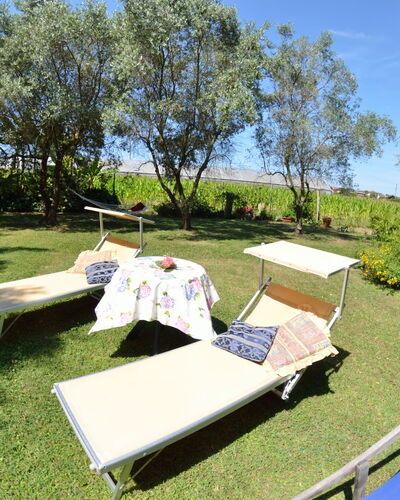 Casa Romana: Propiedad, Árbol, Hierba, Planta De La Comunidad, Mesa, Ocio, Bienes Raíces, Casa, Recreación, Vacaciones