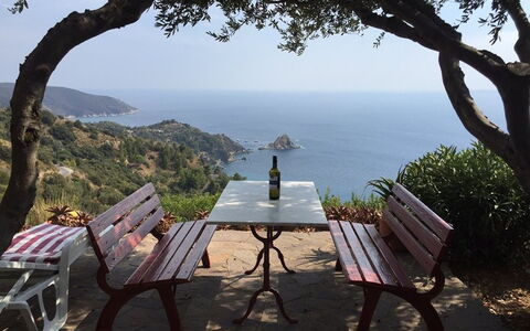 Raggio Di Sole Sull'argentario: Árbol, Cielo, Mar, Vacaciones, Turismo, Costa, Mueble, Mesa, Bahía, Recurso