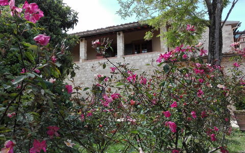 Agriturismo La Pieve: Flor, Propiedad, Planta, Casa, Rosado, Botánica, Árbol, Primavera, Área Rural, Edificio