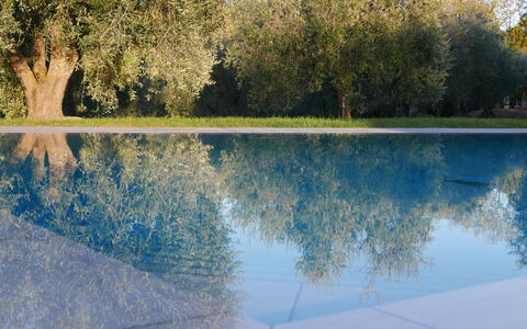 Agriturismo La Pieve: Reflexión, Agua, Naturaleza, Paisaje Natural, Azul, Árbol, Los Recursos Hídricos, Cielo, Lago, Piscina De Reflejo
