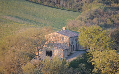 Podere Palazzo: Área Rural, Colina, Árbol, Cielo, Fotografía Aérea, Fotografía, Arquitectura, Paisaje, Casa, Edificio