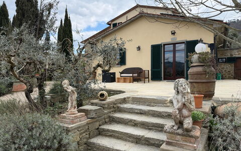 Villa Eleonora: Maceta, Losa, Jardín, Sombra, Paisajismo, Planta De Casa, Hacienda, Entrada De Coches, Yarda