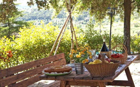 Villa Gelsomino: Mesa, Mueble, Patio Interior, Picnic, Habitación, Árbol, Paisaje, Mesa Al Aire Libre, Mueble Para Exteriores, Comida