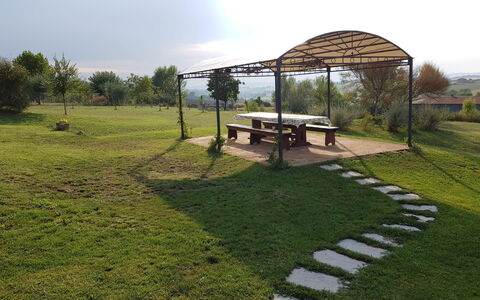 Villa Anita: Hierba, El Terreno Del Lote, Pradera, Área Rural, Césped, Granja, Yarda, Patio Interior, Jardín, Sombra