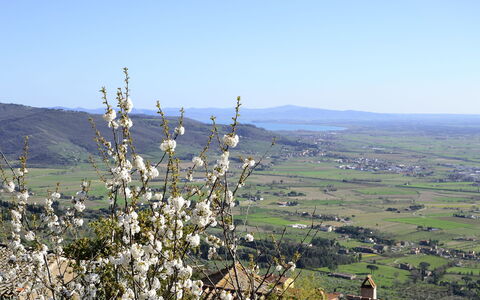 Appartamento Il Teatro: Chaparral, Colina, Árbol, Planta, Cayó, Montaña, Planta De La Comunidad, Paisaje, Flor Silvestre, Flor