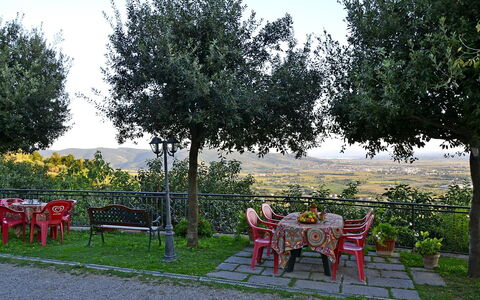 Appartamento Luna: Árbol, Ocio, Botánica, Plantas Leñosas, Hierba, Primavera, Área Rural, Mueble, Jardín, Verano